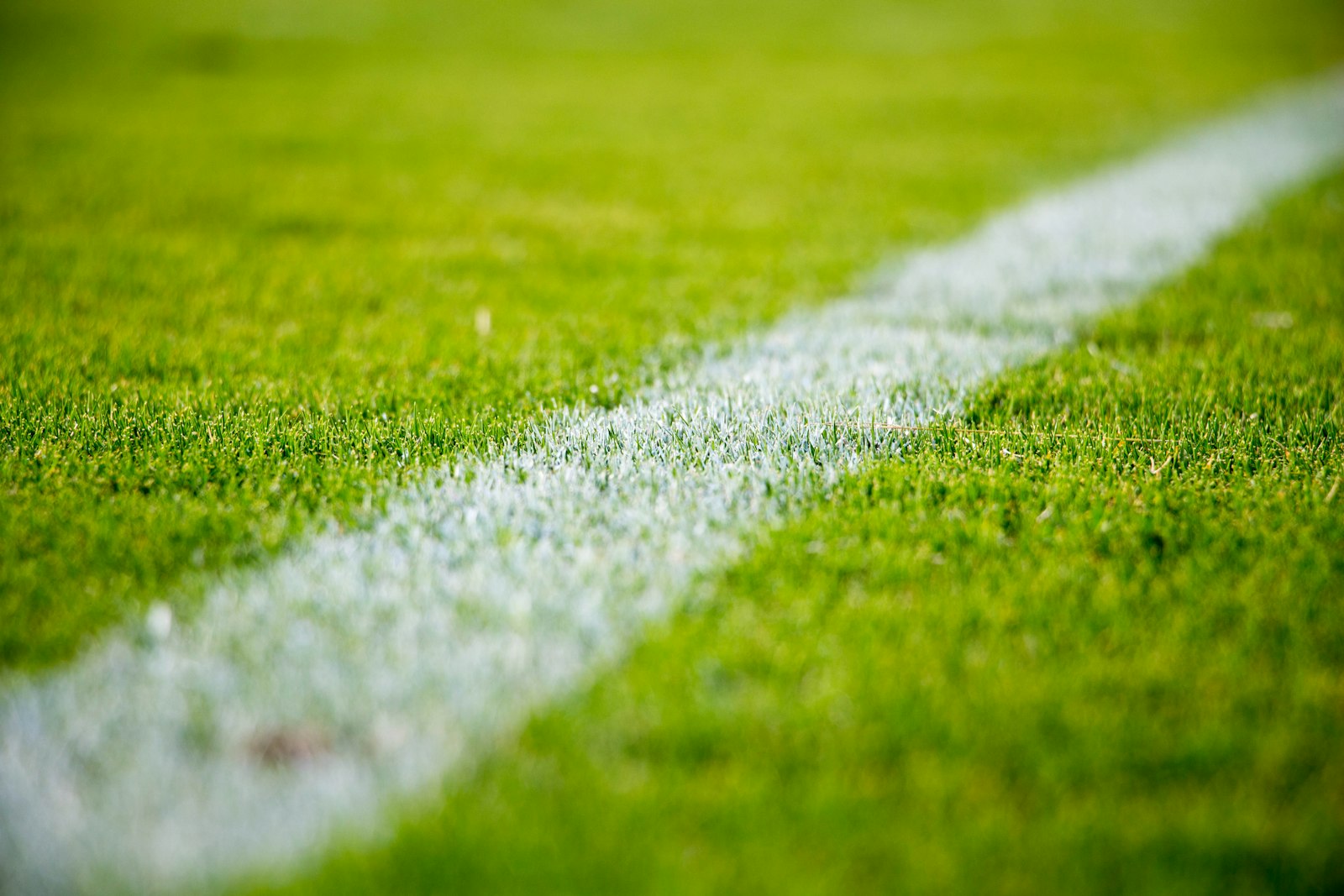 Blick ins Stadion